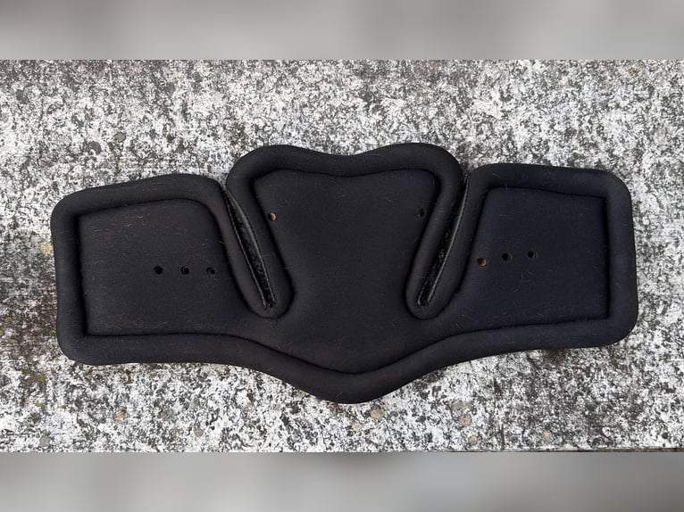 Stübben Equisoft Kurzgurt, 60cm incl. Neoprenpad