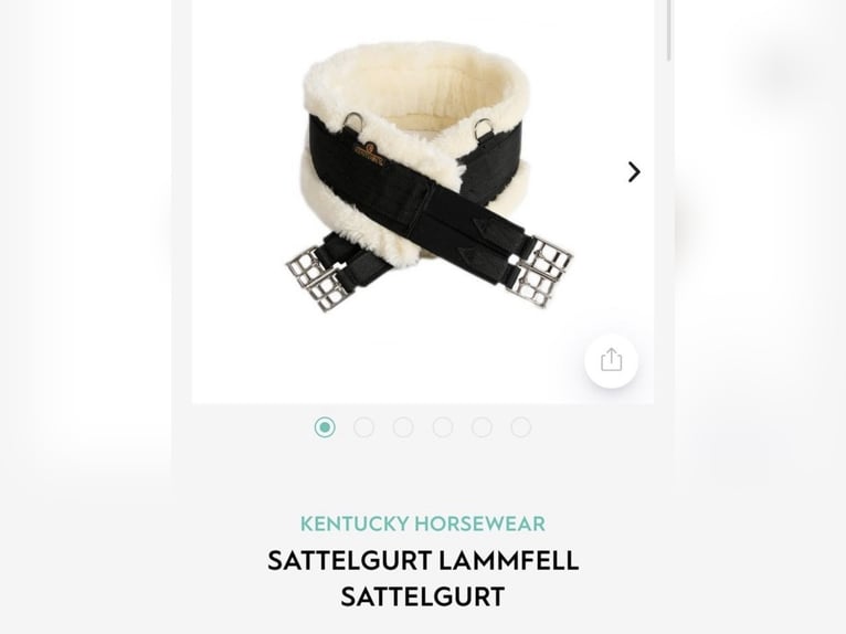 Kentucky Langgurt Sattelgurt 145cm Fell