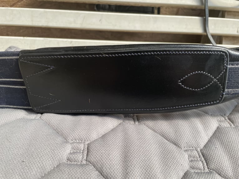 Leder Sattelgurt Langgurt PASSIERBLU Grip schwarz 130 cm TOP