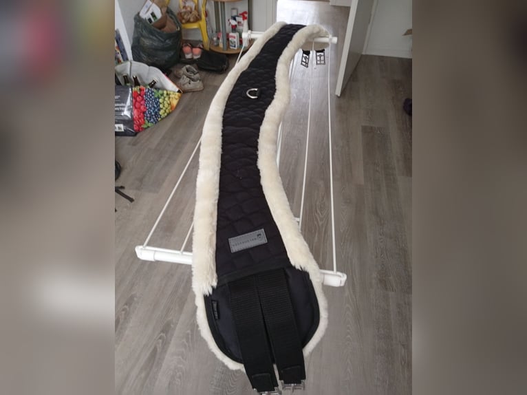 Mondsattelgurt 145cm von der Marke Waldhausen 