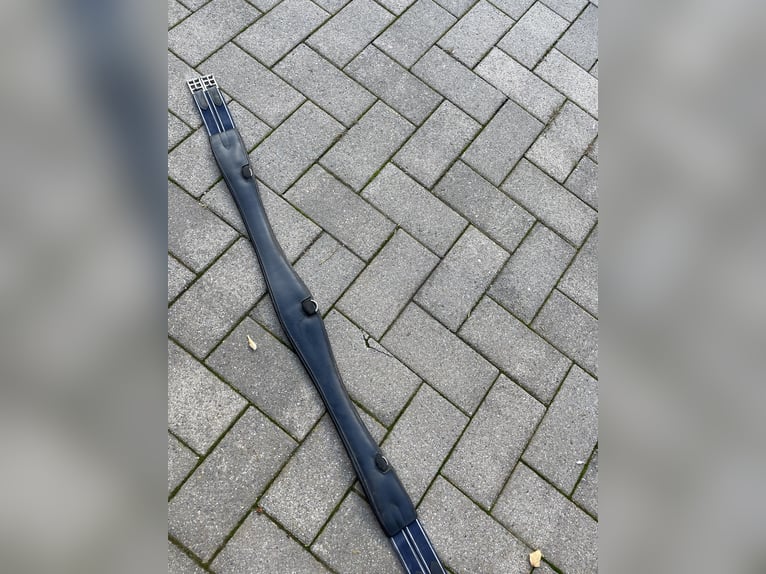 Passier Sattelgurt 145cm
