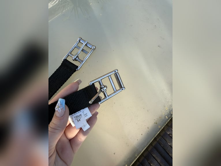 Sattelgurt 4Horses Neoprengurt lang