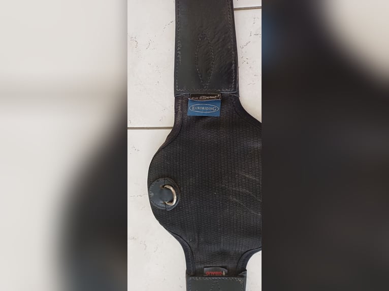 Sattelgurt Eric Le Trixerant