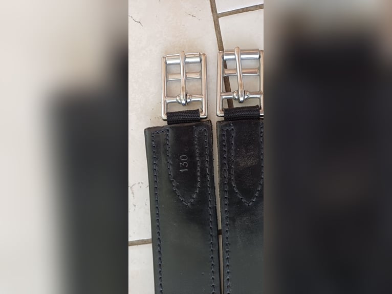 Sattelgurt Eric Le Trixerant