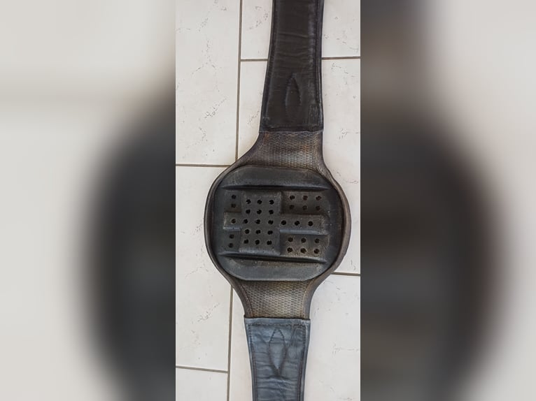 Sattelgurt Eric Le Trixerant