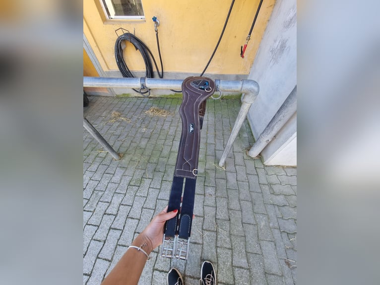 Sattelgurt zu verkaufen