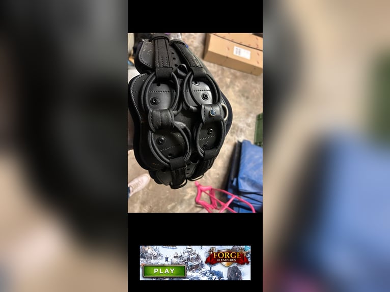 Stübben equi soft mit Neoprenpolster