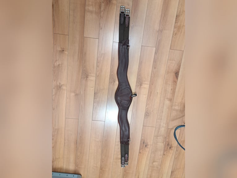 Verkaufe meinen kaum gebrauchten CWD Sattelgurt 