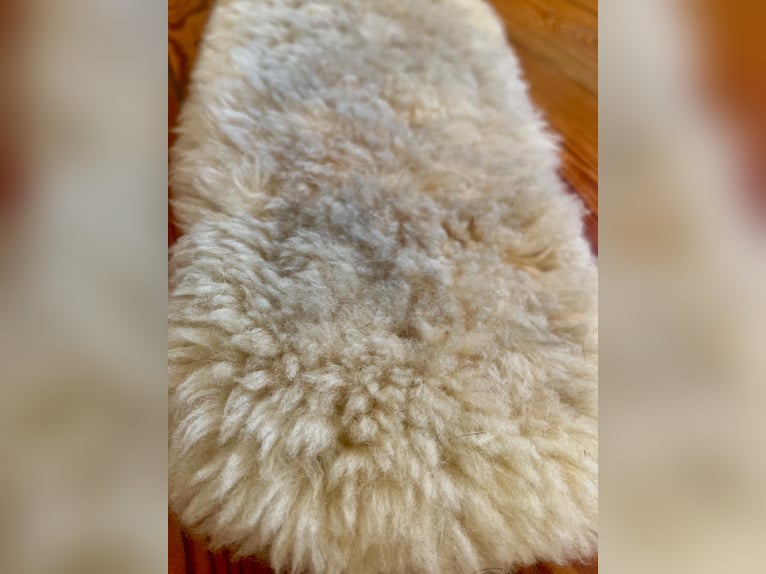  Mattes Lammfell Gurtschoner Kurzgurt Bezug 60 cm