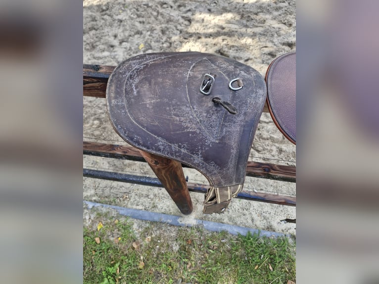 8 Stollenschutzgurte im Paket