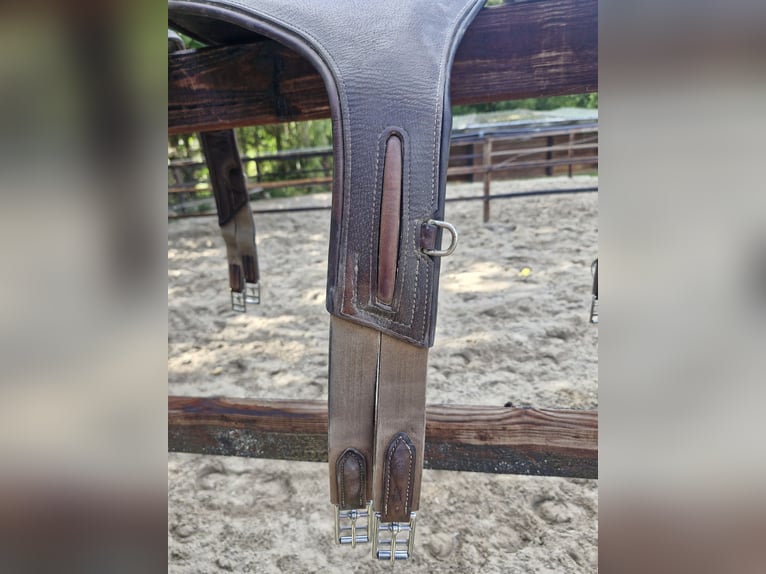 8 Stollenschutzgurte im Paket