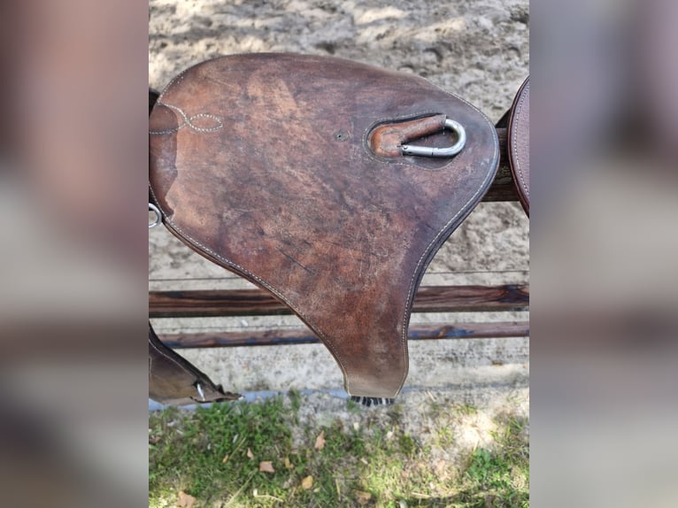 8 Stollenschutzgurte im Paket