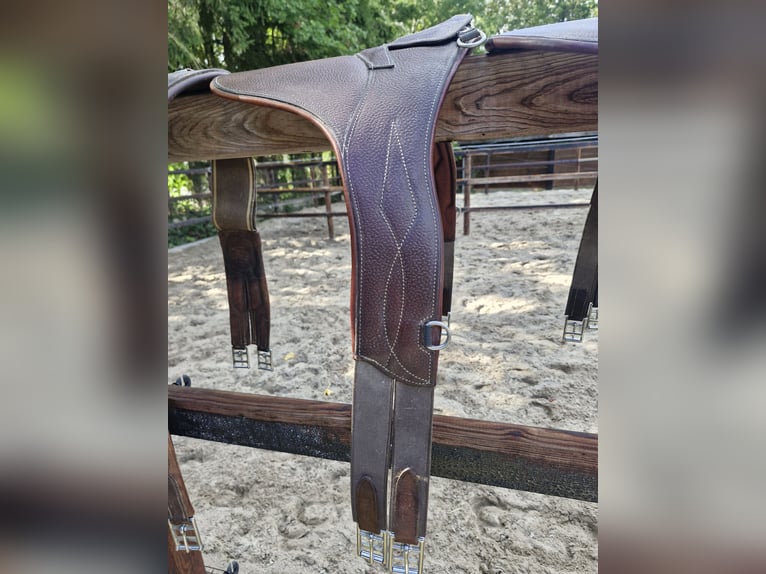 8 Stollenschutzgurte im Paket