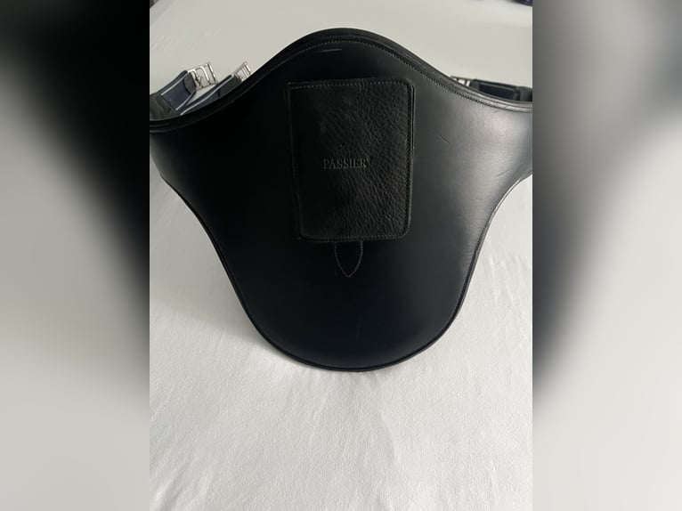 Passier Langgurt Springen Top Stollengurt