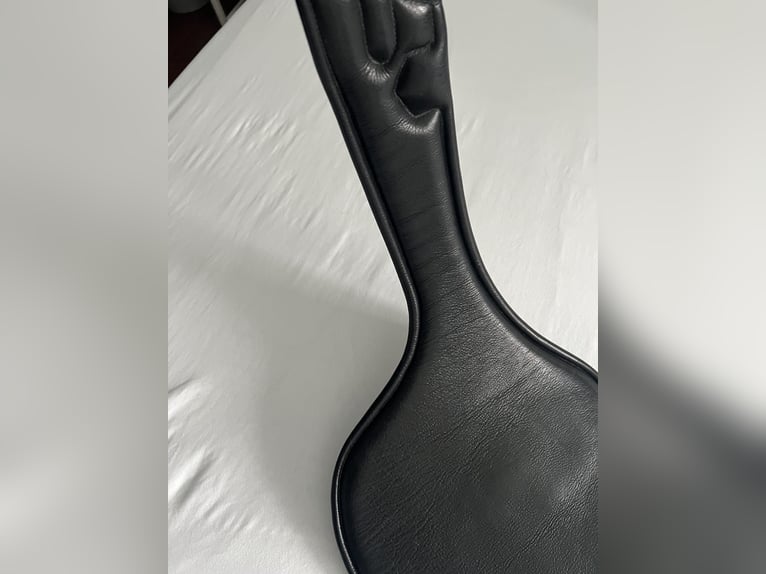 Passier Langgurt Springen Top Stollengurt