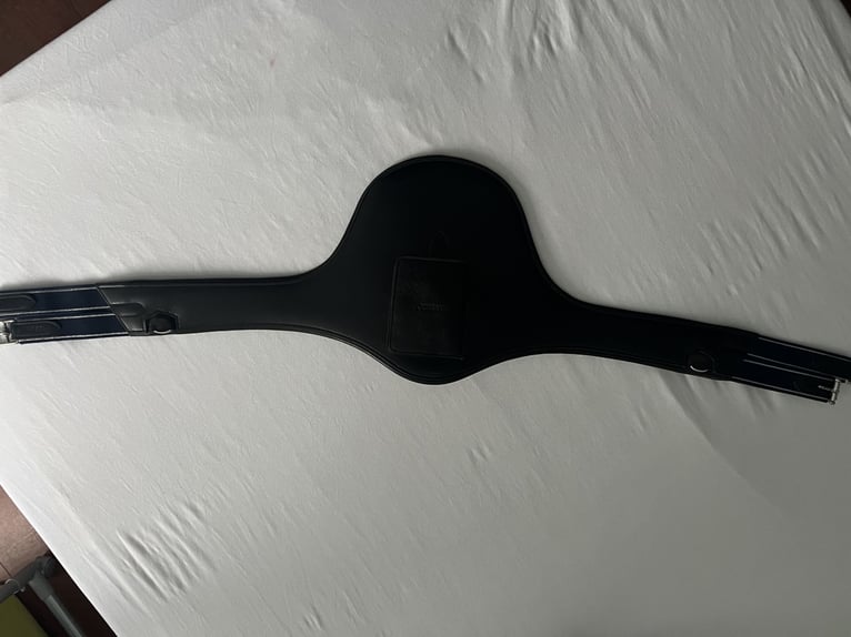 Passier Langgurt Springen Top Stollengurt