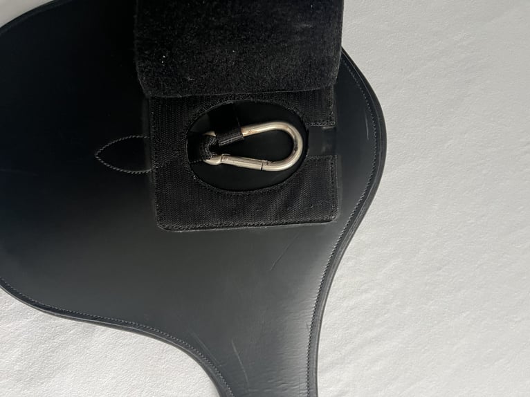 Passier Langgurt Springen Top Stollengurt