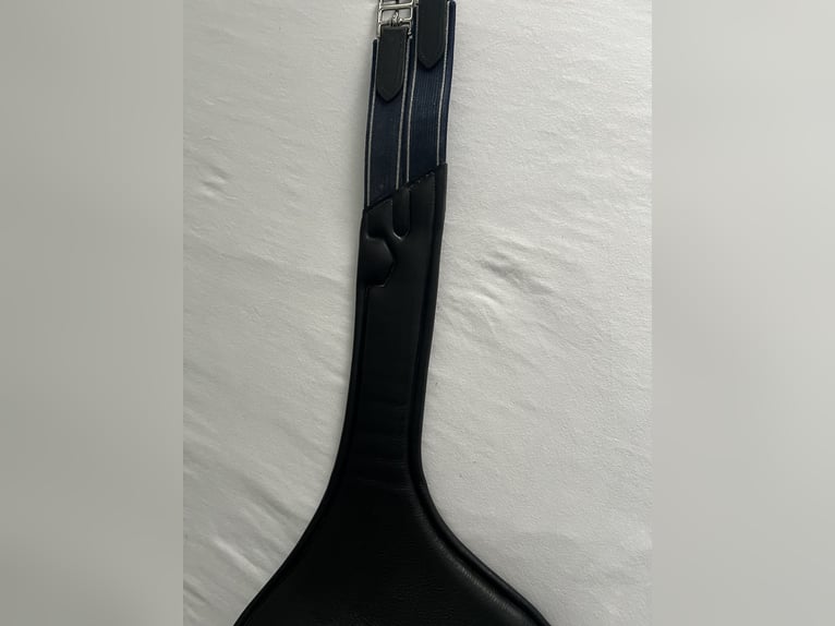 Passier Langgurt Springen Top Stollengurt