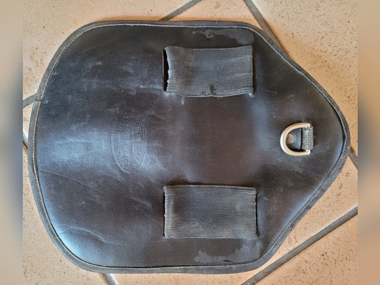 schwarzen Stollenschutz / Stollenlatz / Latz / Sattelgurt / Springen - variabel