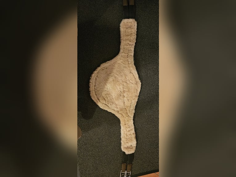 Zandona Stollengurt 135cm