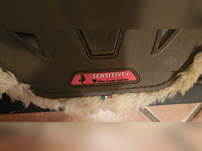 Zandona Stollengurt 135cm