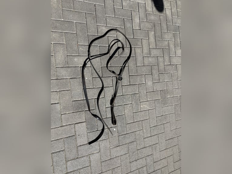 Sattelgurte und div. andere Sachen 