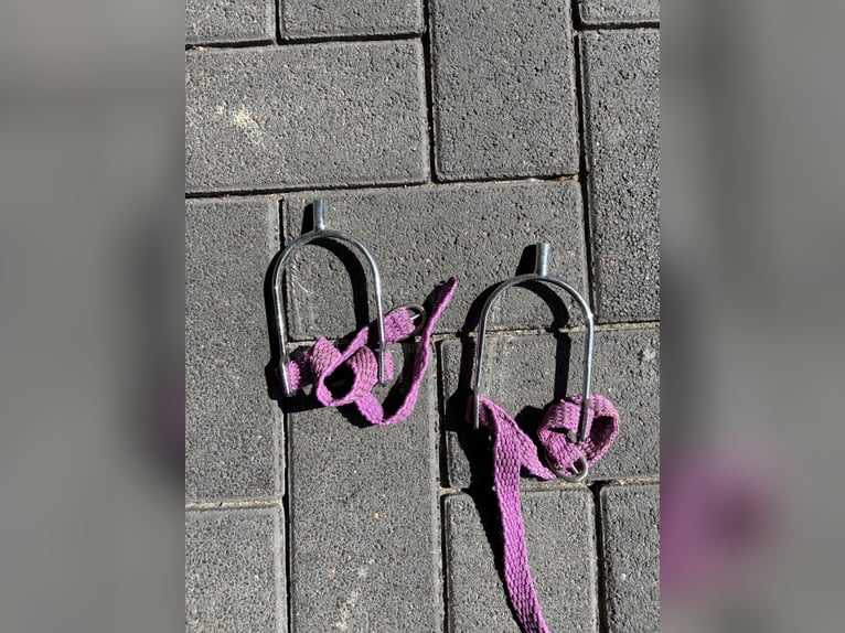 Sattelgurte und div. andere Sachen 