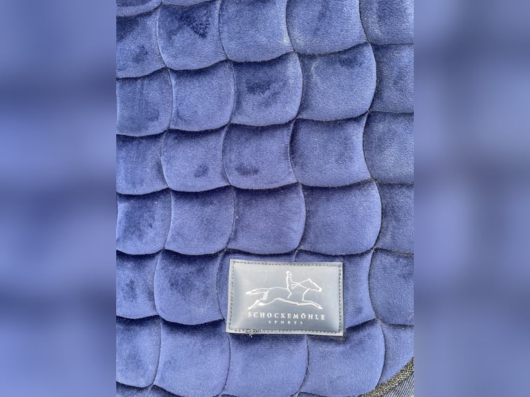 Schockemöhle Schabracke DR blau