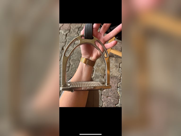 Jin Stirrup Steigbügel 