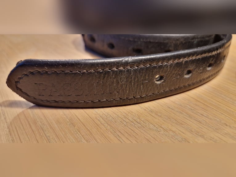 Steigbügelriemen Passier 160cm Schwarz Leder Nylon