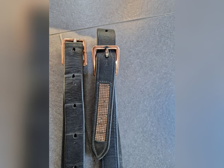 Steigbügelriemen rosegold 160cm