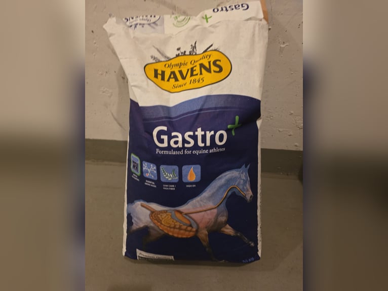 2 ungeöffnete Packungen Gastro plus je 20 Ruro 2 ungeöffnete Packungen Gastro plus je 20 Ruro