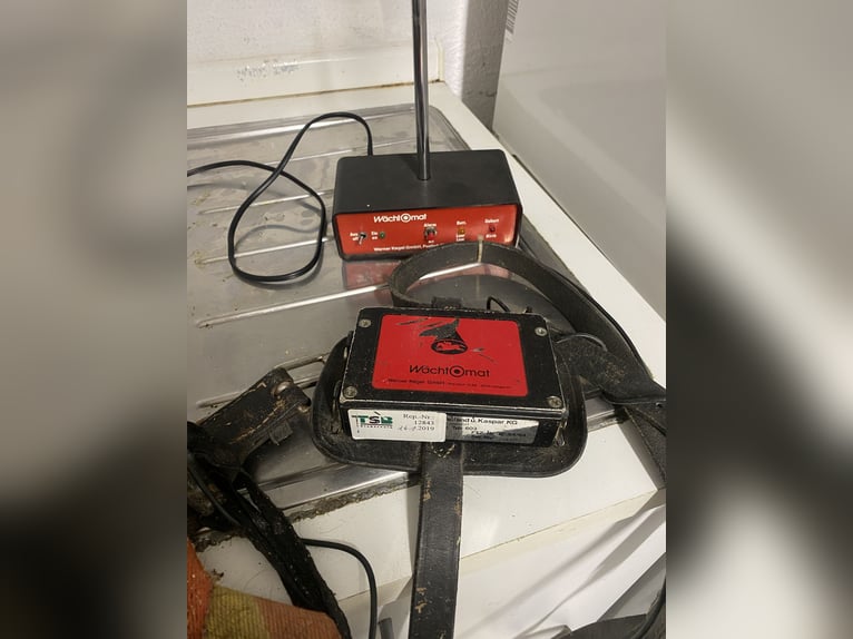 Abfohlsystem Wächtomat Bil-Combi 