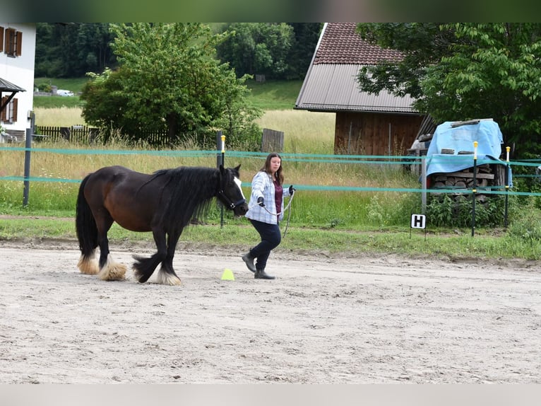 Achtsame Pferdepflege & sanfte Begleitung