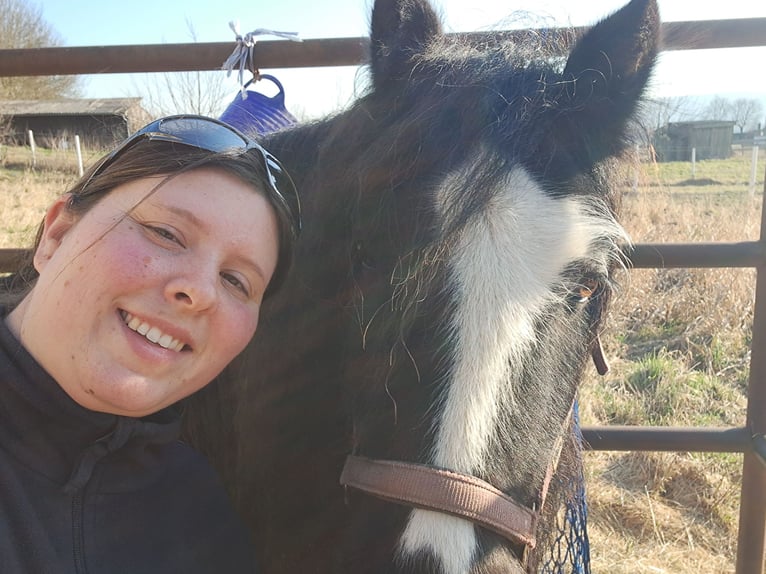 Achtsame Pferdepflege & sanfte Begleitung