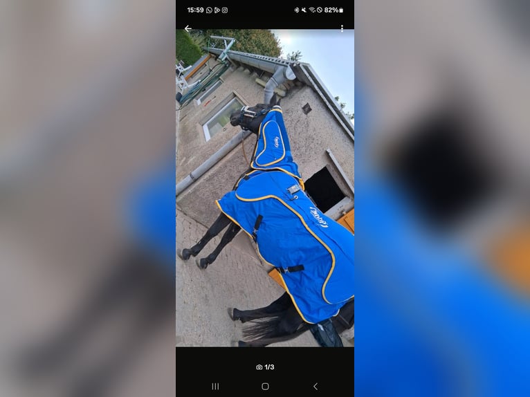 Anduvet Massagedecke 