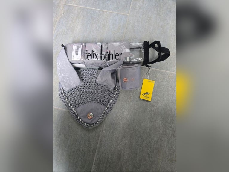 Bandagen mit Fliegenohren