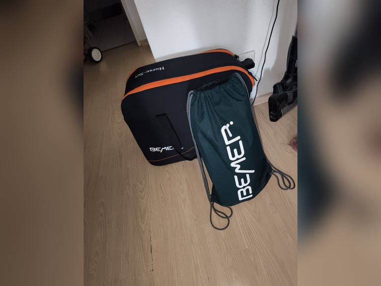 Bemer Horse Set 