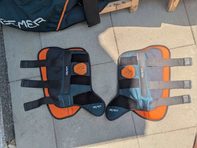 Bemer Horse Set 