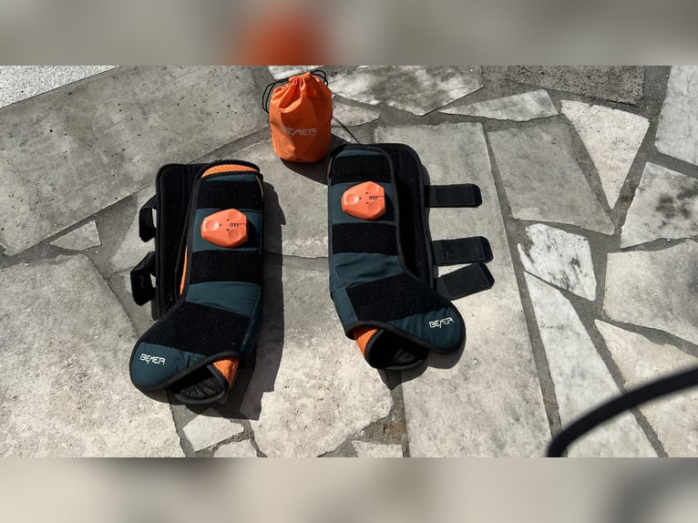 Bemer Horses Set