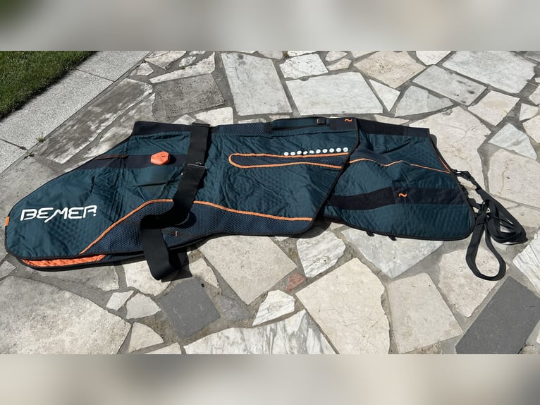 Bemer Horses Set