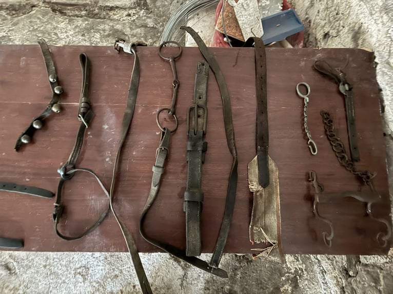 Biete antike Pferdegeschirre Kummet, Zugscheite, Zugbügel, Einzeteile 