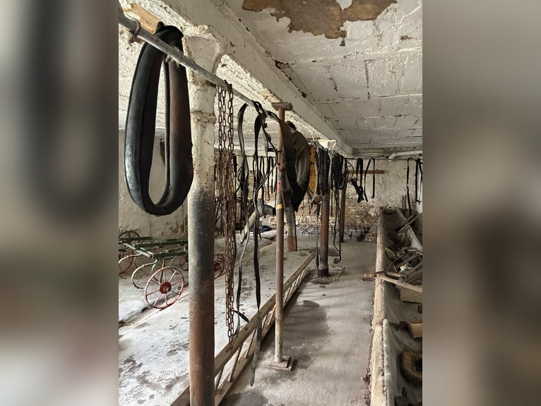 Biete antike Pferdegeschirre Kummet, Zugscheite, Zugbügel, Einzeteile 