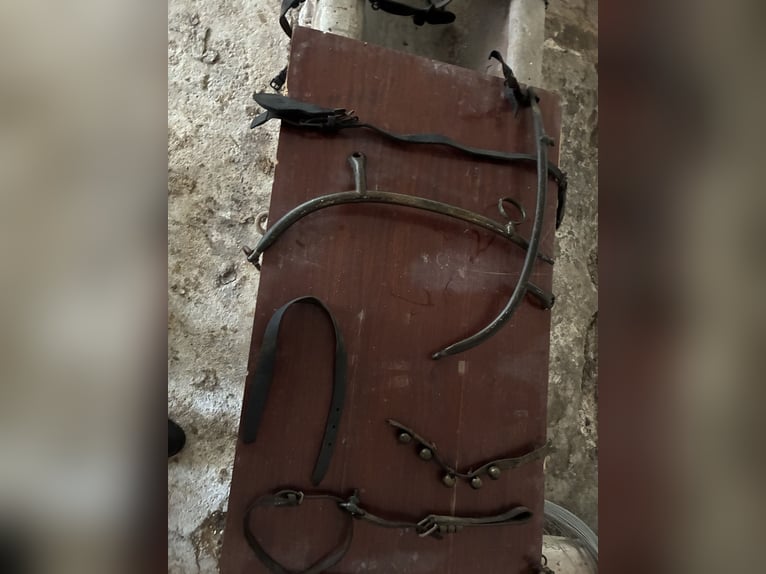 Biete antike Pferdegeschirre Kummet, Zugscheite, Zugbügel, Einzeteile 