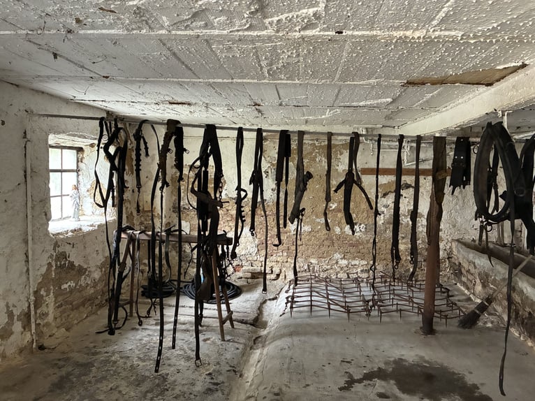 Biete antike Pferdegeschirre Kummet, Zugscheite, Zugbügel, Einzeteile 