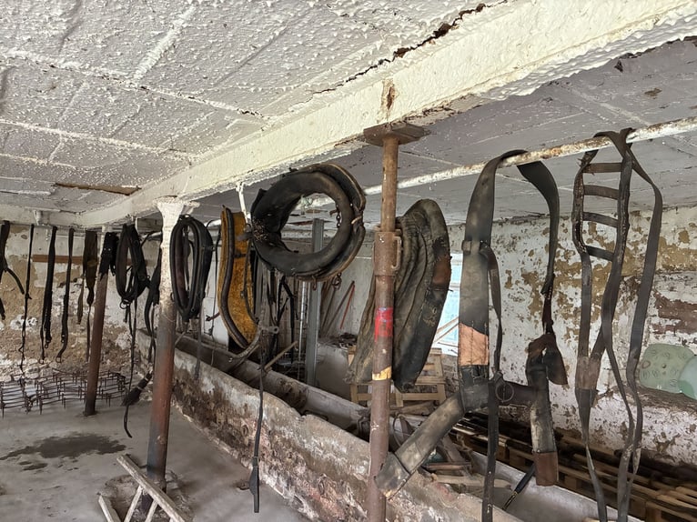 Biete antike Pferdegeschirre Kummet, Zugscheite, Zugbügel, Einzeteile 