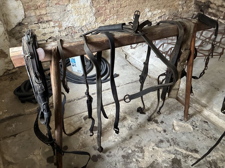 Biete antike Pferdegeschirre Kummet, Zugscheite, Zugbügel, Einzeteile 