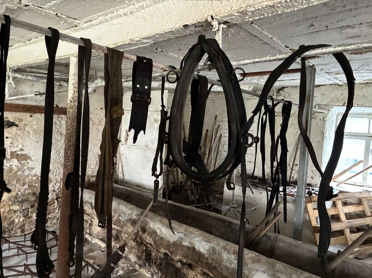 Biete antike Pferdegeschirre Kummet, Zugscheite, Zugbügel, Einzeteile 