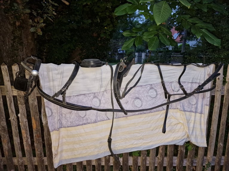 Brustblattgeschirr, Kutschgeschirr, Geschirr (Schlumpf)