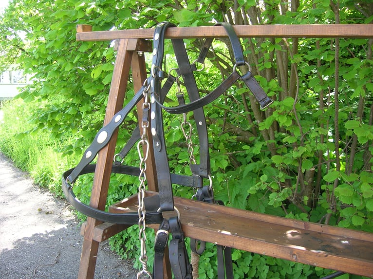 Bündner Geschirr schwarz (Sattler Lüdi Herbligen, Bern)Kumtgrösse  60cm